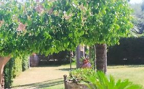 Casa Melia